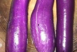 皮肌炎可以吃茄瓜吗,茄瓜可否食用？