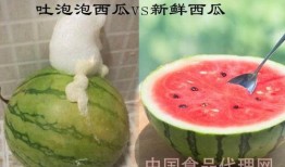 和泡泡吃瓜视频,揭秘娱乐圈幕后故事