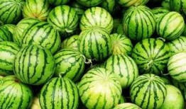 最佳吃瓜丙火,一场舌尖上的美食盛宴