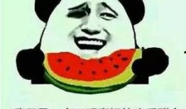 我们喜欢吃瓜,揭秘我国人民对瓜果的热爱与追求