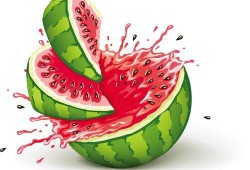 吃瓜视频幼儿,幼儿视角下的趣味世界