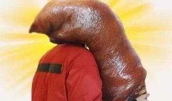 吃瓜就爱吃瓜什么意思,揭秘“吃瓜就爱吃瓜”的趣味内涵