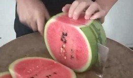 吃瓜吃饭自己家,品味自家生活点滴