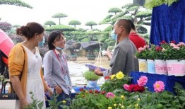 花木吃瓜胡海昌,胡海昌演绎生态和谐新篇章