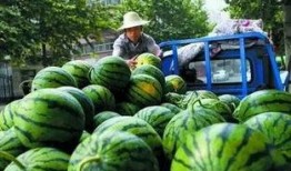 高新全能的视频吃瓜