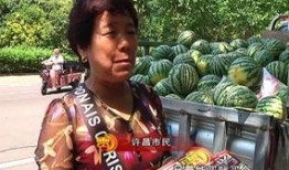 邵东吃瓜群众,揭秘网络舆论背后的真相