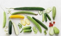 吃经瓜好吗,吃经瓜，品味生活新境界