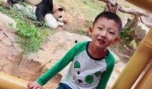 幼儿猴王吃瓜故事