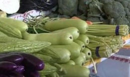 过夜吃瓜中毒,警惕过夜瓜中毒风险