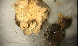 ccgg31.ct吃瓜,揭秘网络热点的背后真相