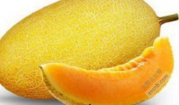 哈密瓜吃死人事件