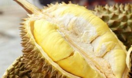 芜湖儿童吃瓜,夏日街头童趣盎然