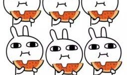 吃瓜加中括号,揭秘幕后真相