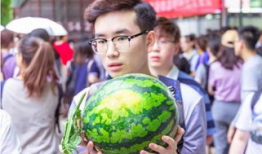 学校帖子吃瓜,一场关于“吃瓜”的校园风云