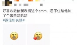 微信吃瓜警告,微信“吃瓜警告”背后的真相与影响