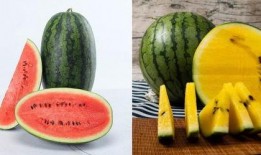 f9吃瓜,揭秘娱乐圈背后的那些事儿