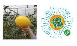 沁阳吃瓜群众,吃瓜群众的热议焦点