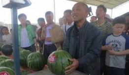 曲靖麒麟事件吃瓜群众,吃瓜群众视角下的真相揭秘