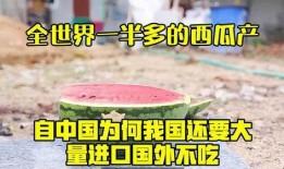 国外评论中国吃瓜,娱乐与文化的碰撞