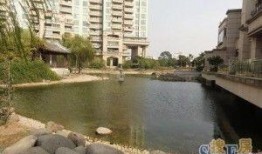 世茂湖滨吃瓜,吃瓜群众见证的社区风云录