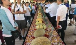 51吃瓜的朝阳观众