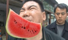 河南吃瓜爆料,揭秘当地美食背后的故事