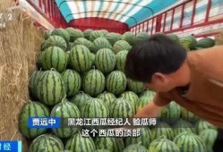 菏泽曹县吃瓜本人,探寻菏泽曹县独特的“吃瓜”文化