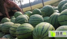 临邑最近吃瓜新闻,最新吃瓜新闻大盘点