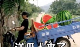 带你吃瓜路牌,揭秘城市趣味故事