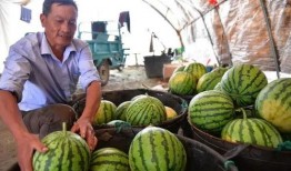 暴风吃瓜,揭秘娱乐圈的狂欢盛宴