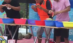 翔安吃瓜群众事件,揭秘网络舆论的风暴与反思