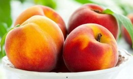 吃瓜桃桃,揭秘娱乐圈那些不为人知的幕后故事