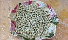 51吃瓜免费吃瓜今日吃瓜,今日精彩吃瓜盘点