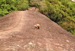 爬爬吃瓜,揭秘网络热点背后的真相与趣味