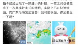 微博吃瓜封面,娱乐圈幕后真相大曝光