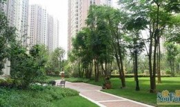 武汉橡树湾吃瓜事件,邻里纠纷引发社会关注