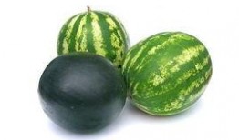 去瓜州吃瓜的注意事项,吃瓜攻略与注意事项全解析