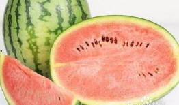 吃瓜肚子拉稀发烧,拉稀发烧的尴尬遭遇