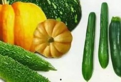 吃瓜珍妮,揭秘娱乐圈背后的那些事儿