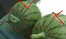 吃瓜群众宿舍名,揭秘“吃瓜群众”宿舍的欢乐日常