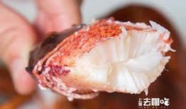 双鱼视频吃瓜,揭秘娱乐圈吃瓜盛宴，带你领略幕后风云