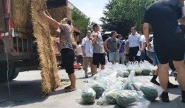 各种吃瓜事件学生,揭秘校园里的那些“瓜”