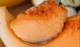 猫吃黄金蜜瓜好吗怎么吃,美味与健康的完美结合