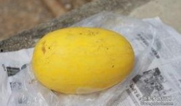 吃黄皮瓜的好处,滋养身心，健康生活新选择