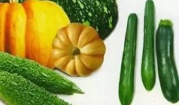 juice吃瓜,揭秘娱乐圈幕后故事