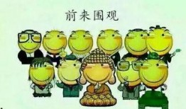 吃瓜群众9528,网络红人的崛起与影响力