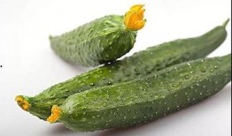 多人公园吃瓜,见证人间百态