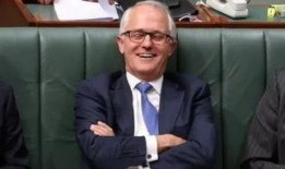 陈峰吃瓜群众,吃瓜群众的视角，揭秘娱乐圈风云