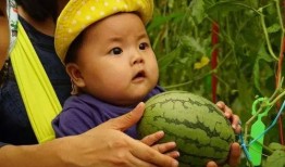 围绕吃瓜群,揭秘网络社交中的“瓜田”现象