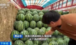 奉节教师 吃瓜事件,网络舆论下的师德拷问